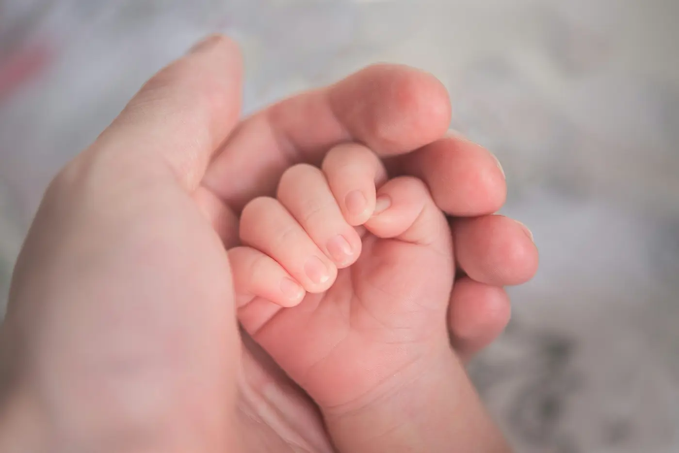 Newborn hand held safely by an adult