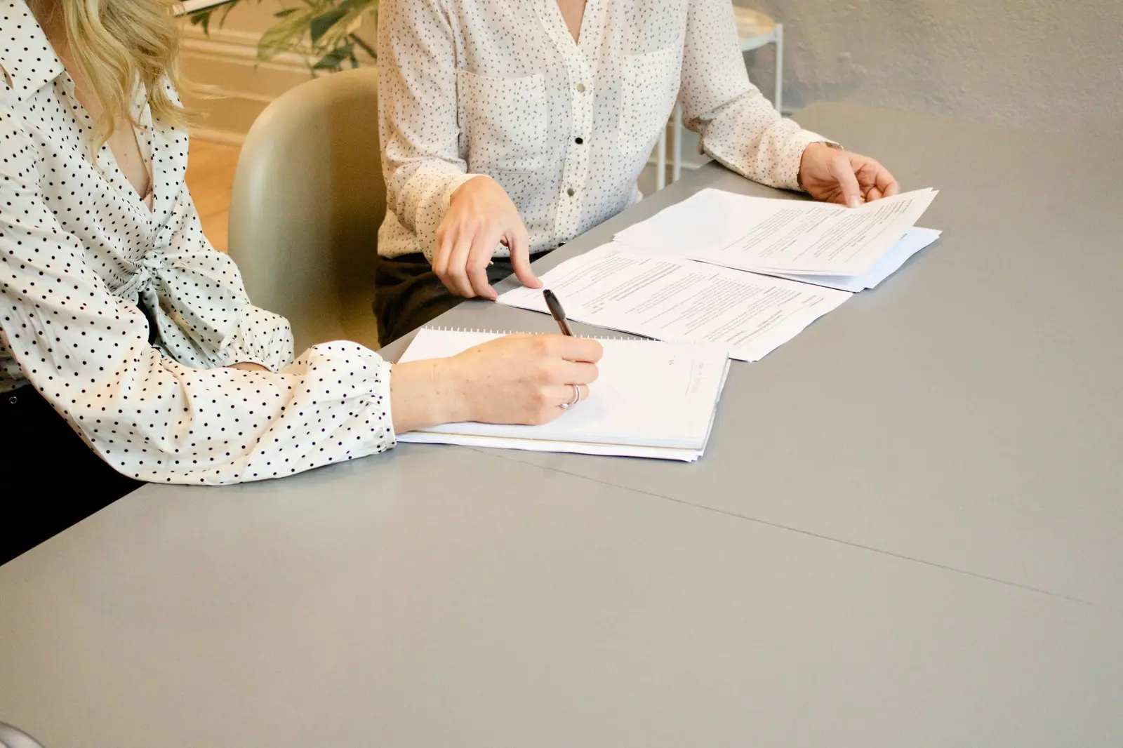 Private programme and document consultation in Tbilisi